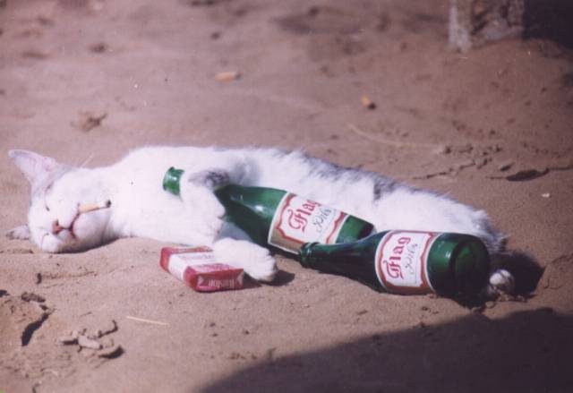drunk.jpg